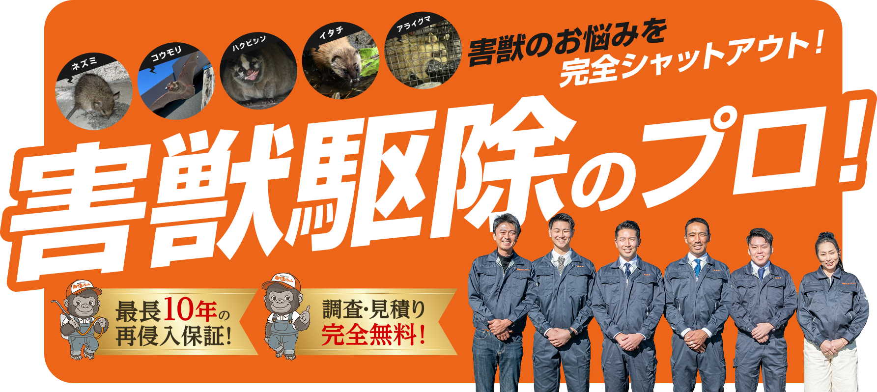 害獣駆除のプロ!害獣のお悩みを完全シャットアウト!ネズミ・コウモリ・ハクビシン・イタチ・アライグマ。最長10年再侵入保証!調査・見積り完全無料!