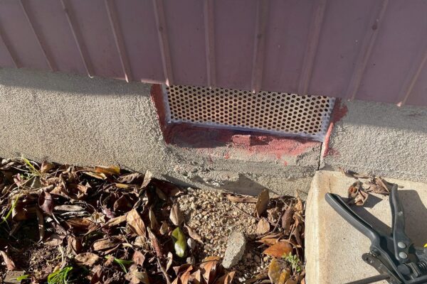 関市S様|ネズミ_施工後金網