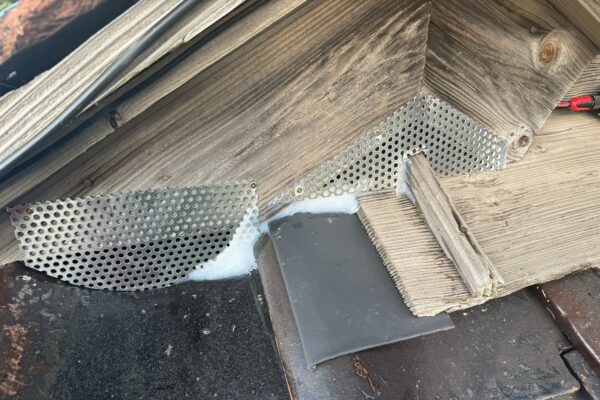 関市T様|ハクビシン_施工後