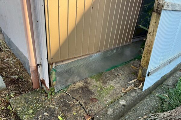 関市T様|ハクビシン_施工後2