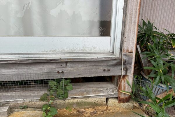 関市T様|ハクビシン_施工前2