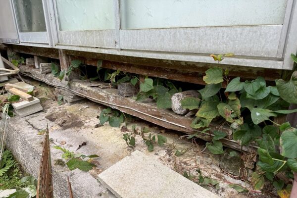 関市T様|ハクビシン_施工前