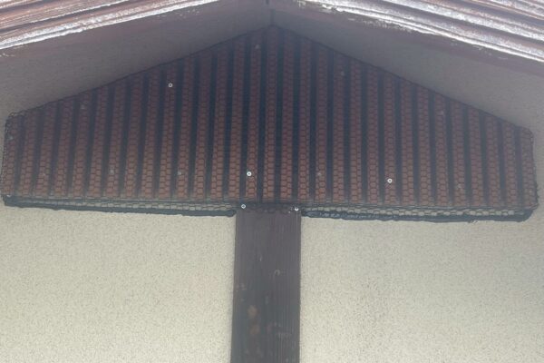 施工後:関市N様|コウモリ_施工後