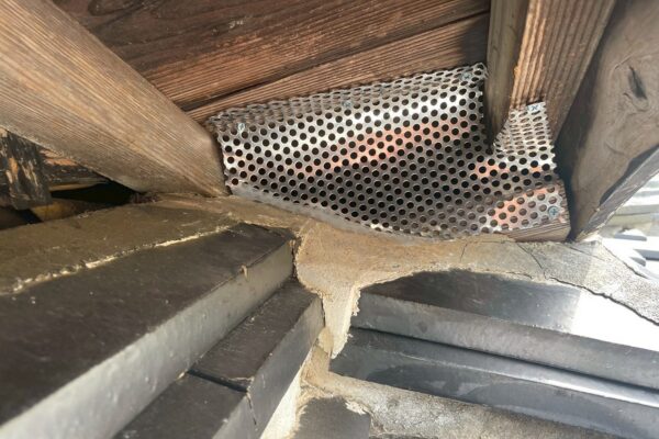 関市K様|アライグマ_施工後4