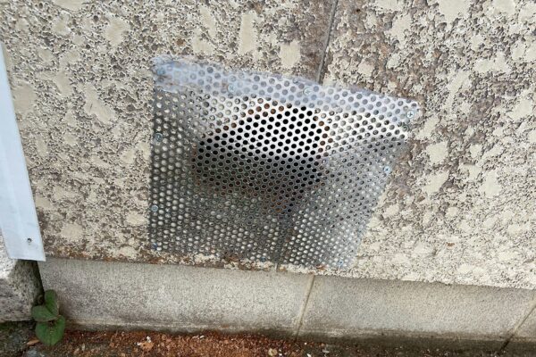 関市K様|アライグマ_施工後3