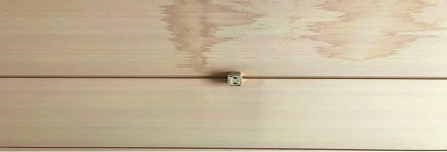 コウモリの尿の跡