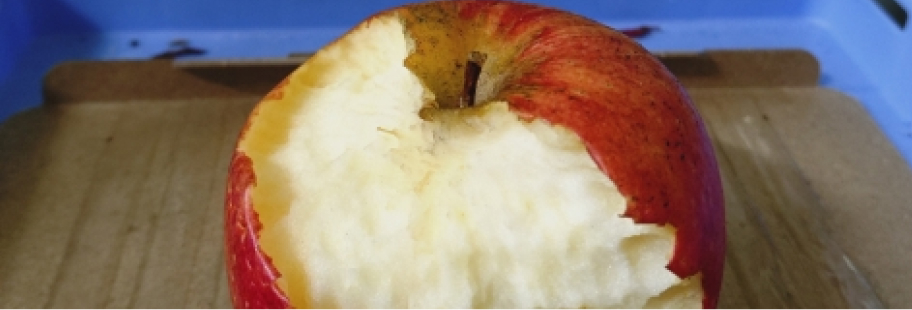 かじられたりんご
