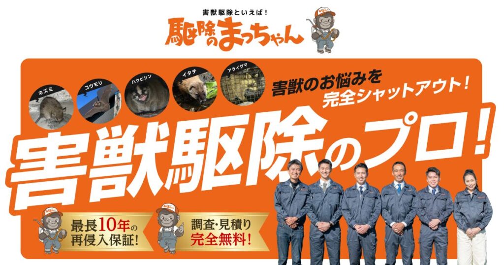 岐阜の害獣・害虫駆除「駆除のまっちゃん」ホームページをオープンしました