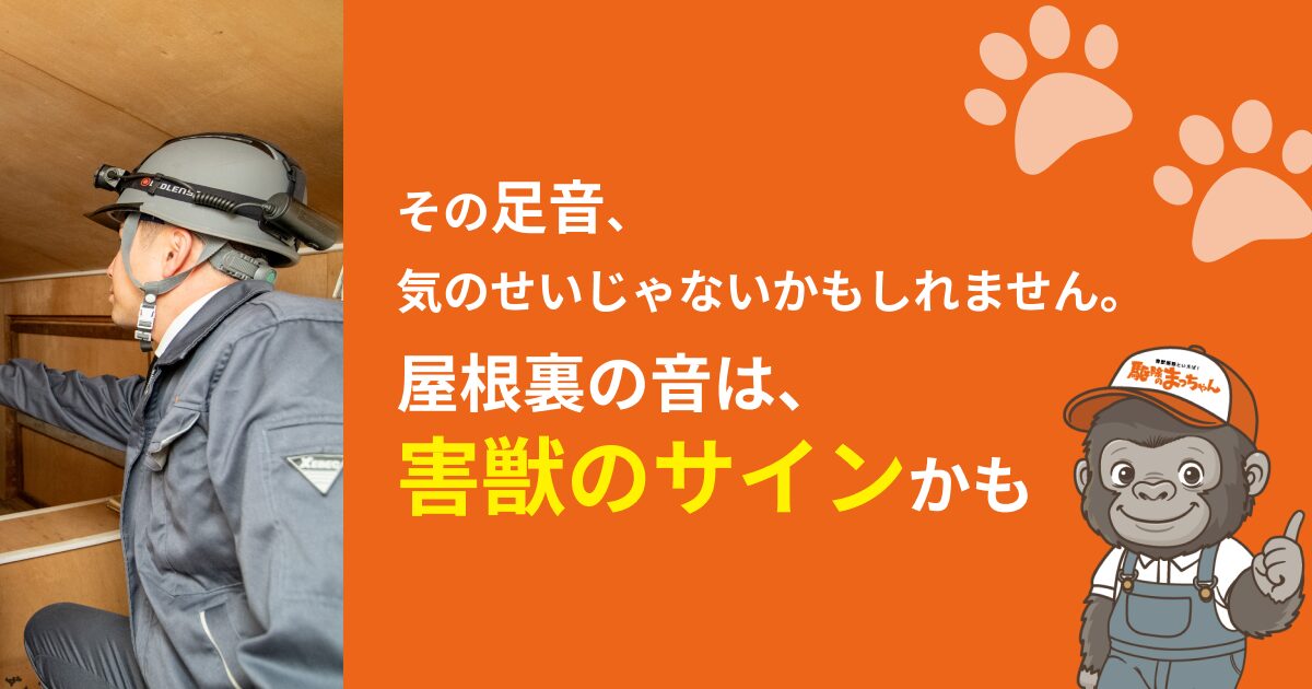 屋根裏で足音がする…それ、害獣かもしれません。【原因特定から駆除まで対応】