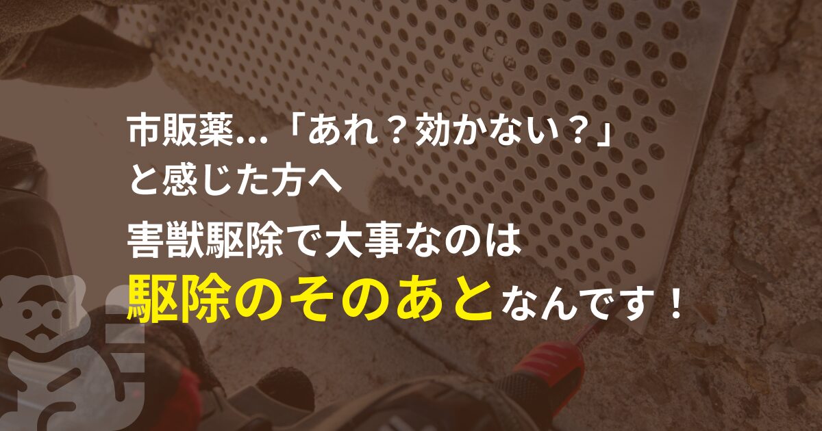 市販の害獣駆除グッズが効かない理由を、正直にお話しします