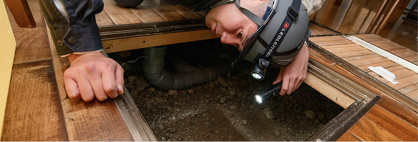 害獣駆除作業中の写真