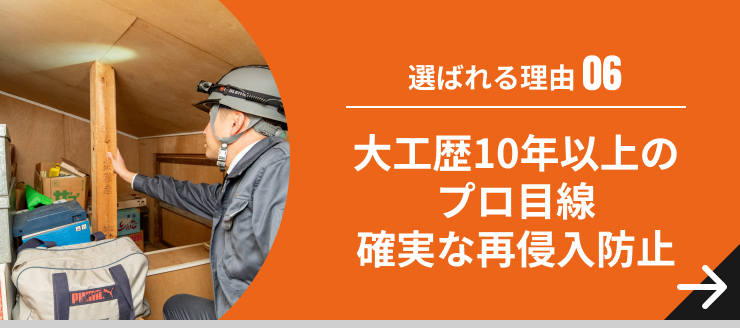 大工歴10年以上のプロ目線 確実な再侵入防止