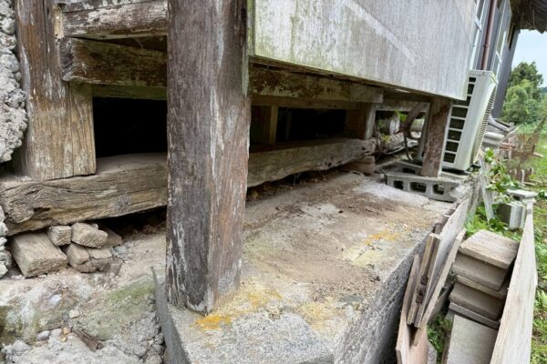 関市T様|ハクビシン_施工前