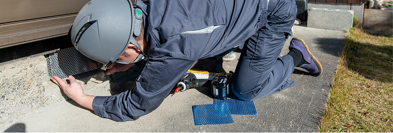 害虫駆除の作業風景