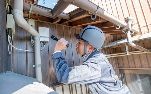 害虫駆除の作業風景