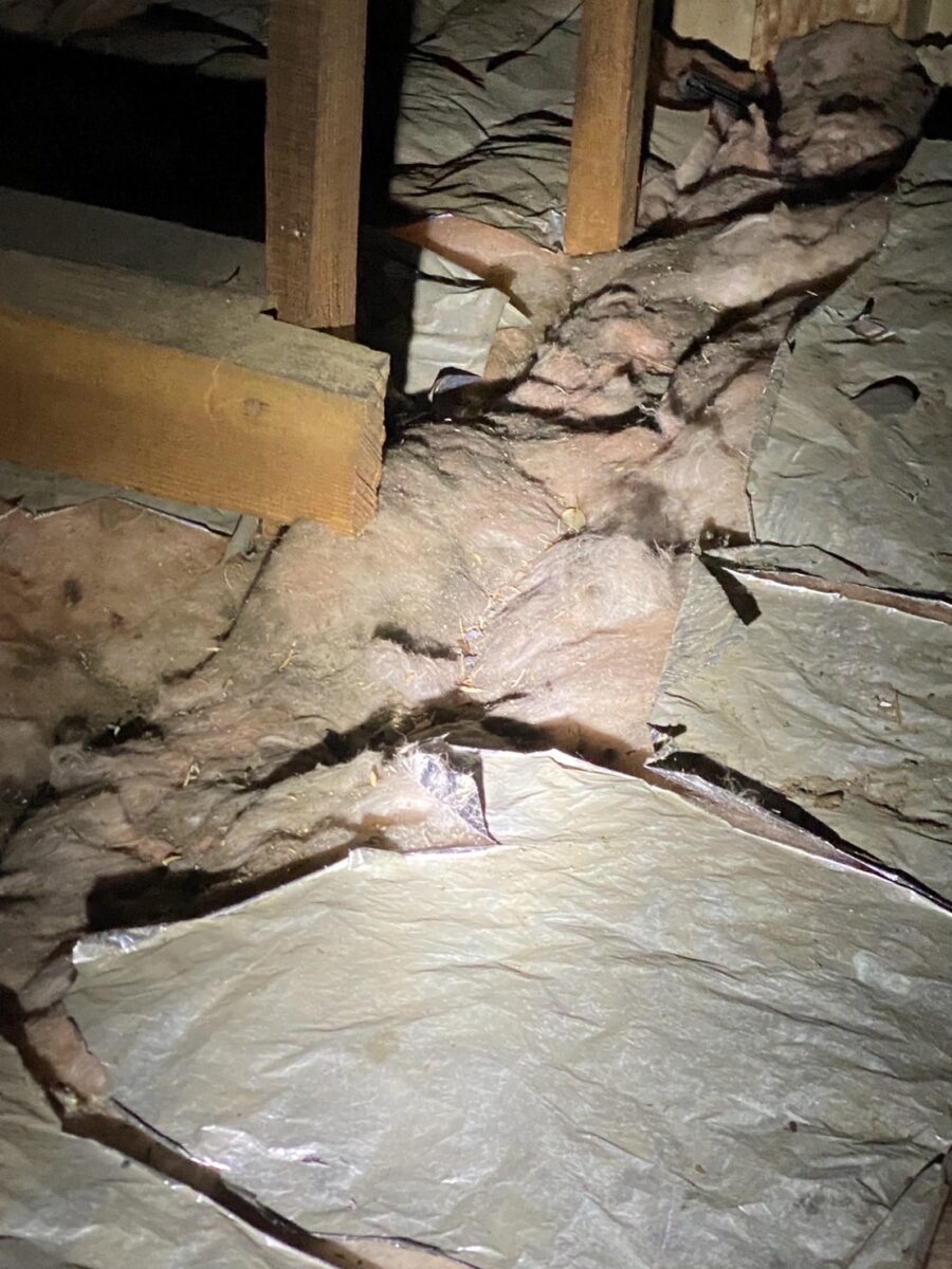 岐阜県大垣市 築40年住宅 屋根裏のネズミ被害で荒らされた断熱材