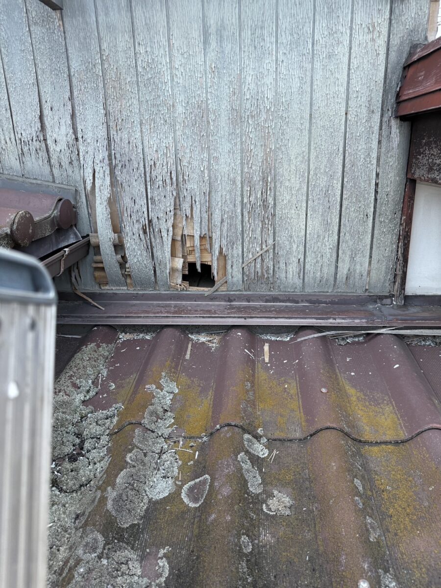 岐阜市ネズミ外壁穴