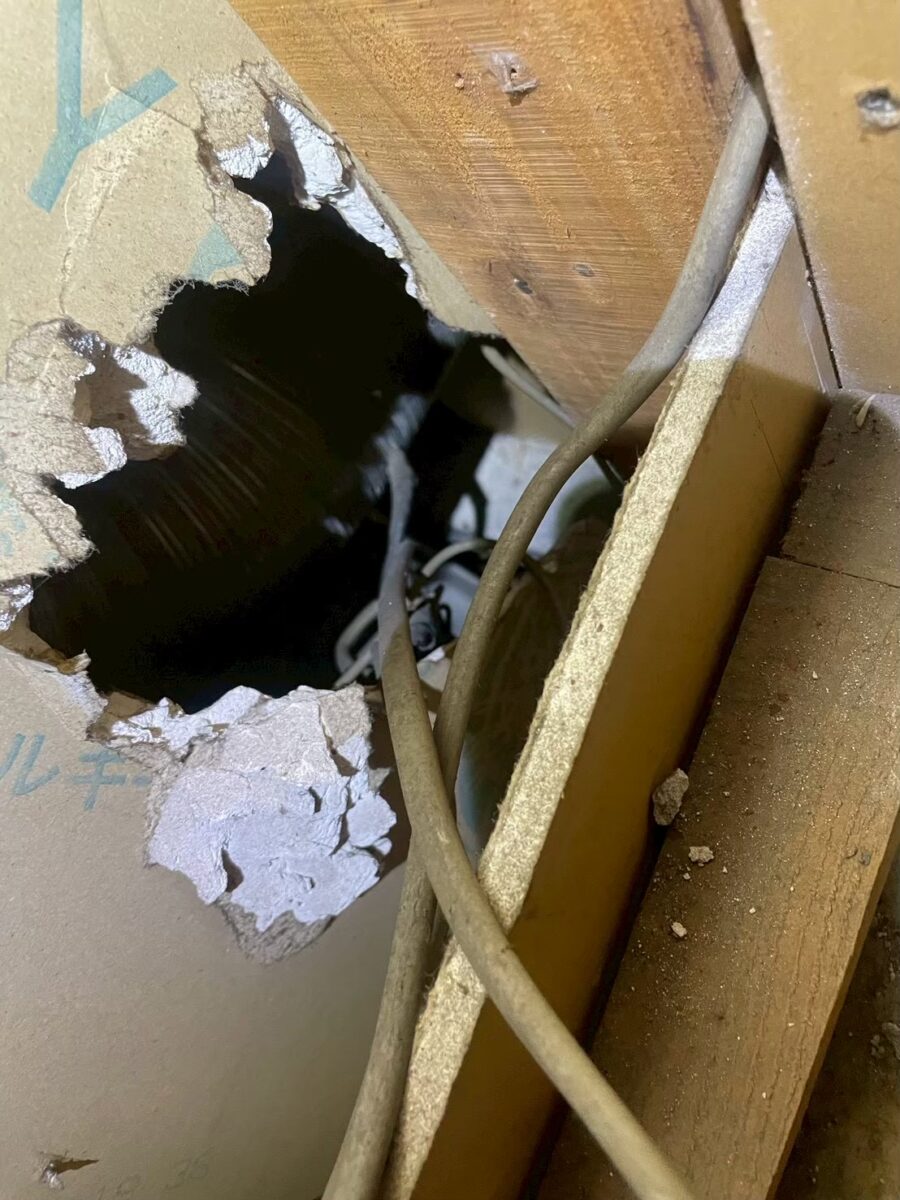 ネズミの侵入経路