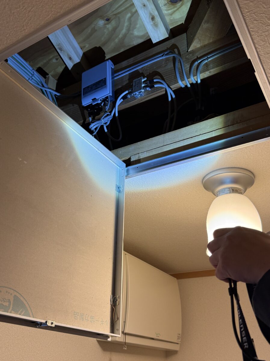 現地調査 天井裏の確認