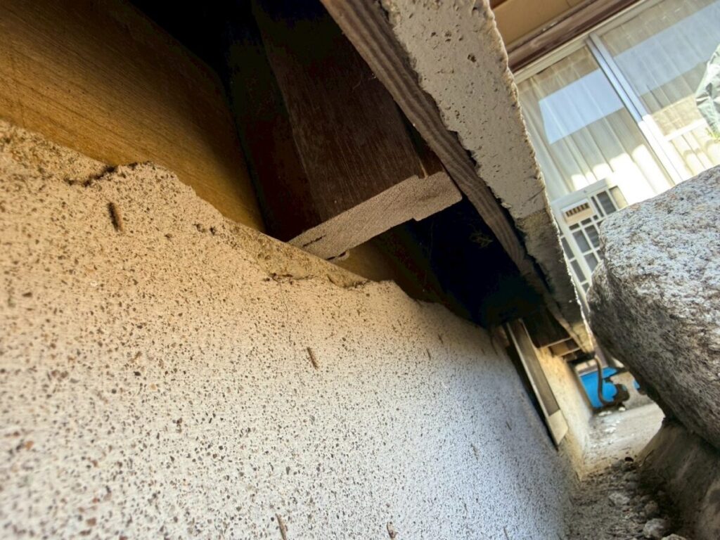 岐阜ネズミ被害