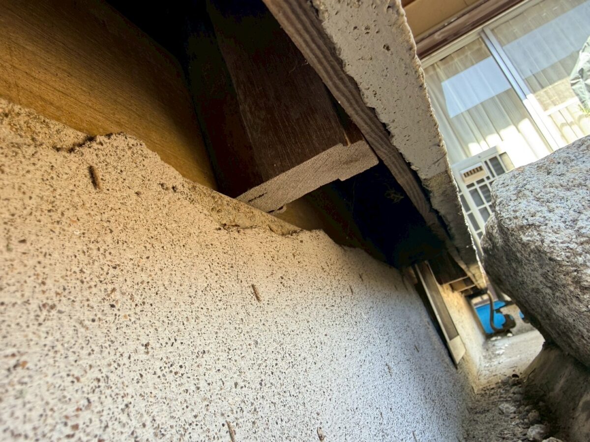 岐阜ネズミ被害