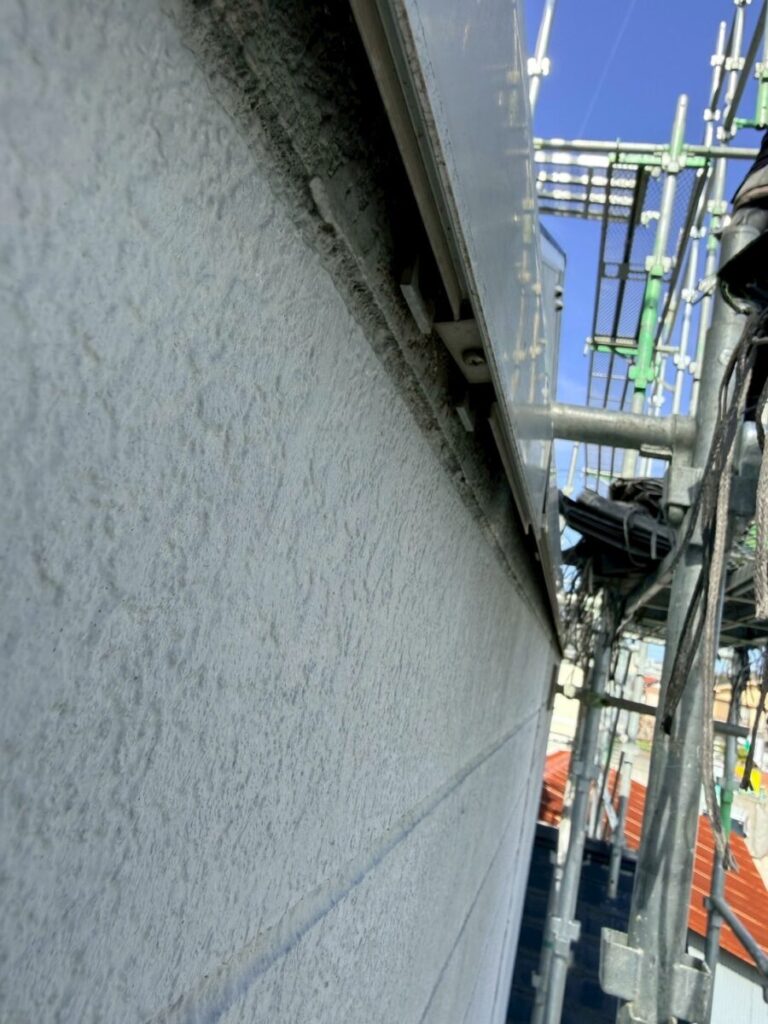 岐阜市コウモリ被害現地調査