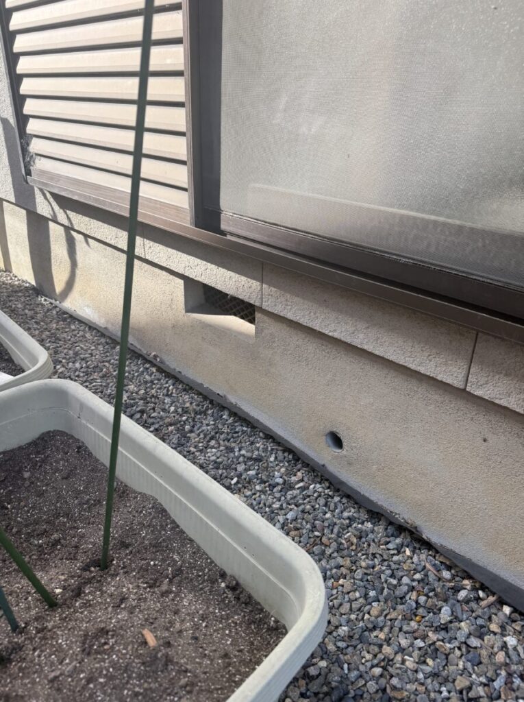 岐阜 ネズミ侵入経路