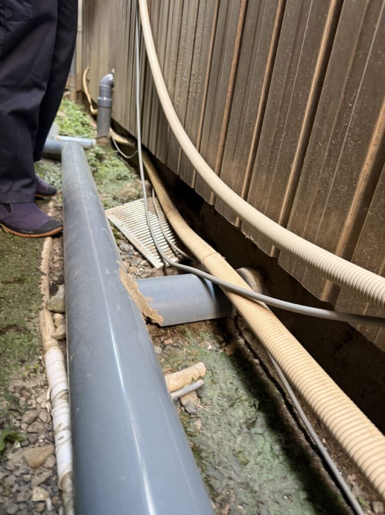 岐阜市イタチ被害