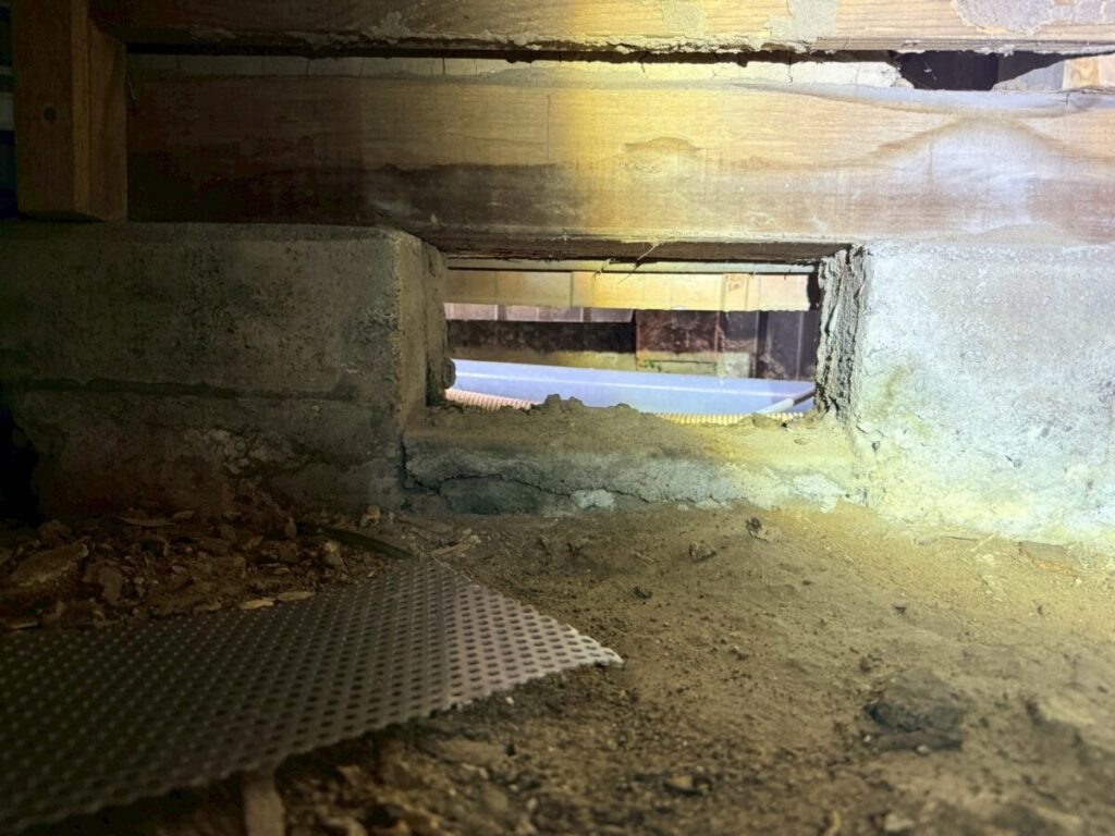 岐阜市イタチ侵入口