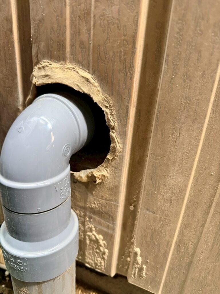 岐阜市イタチ侵入経路