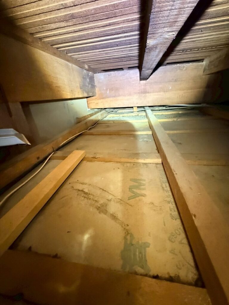 施工後:岐阜市ネズミ糞施工後