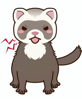 岐阜市イタチの被害