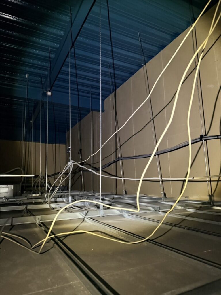 工場天井裏イタチ被害