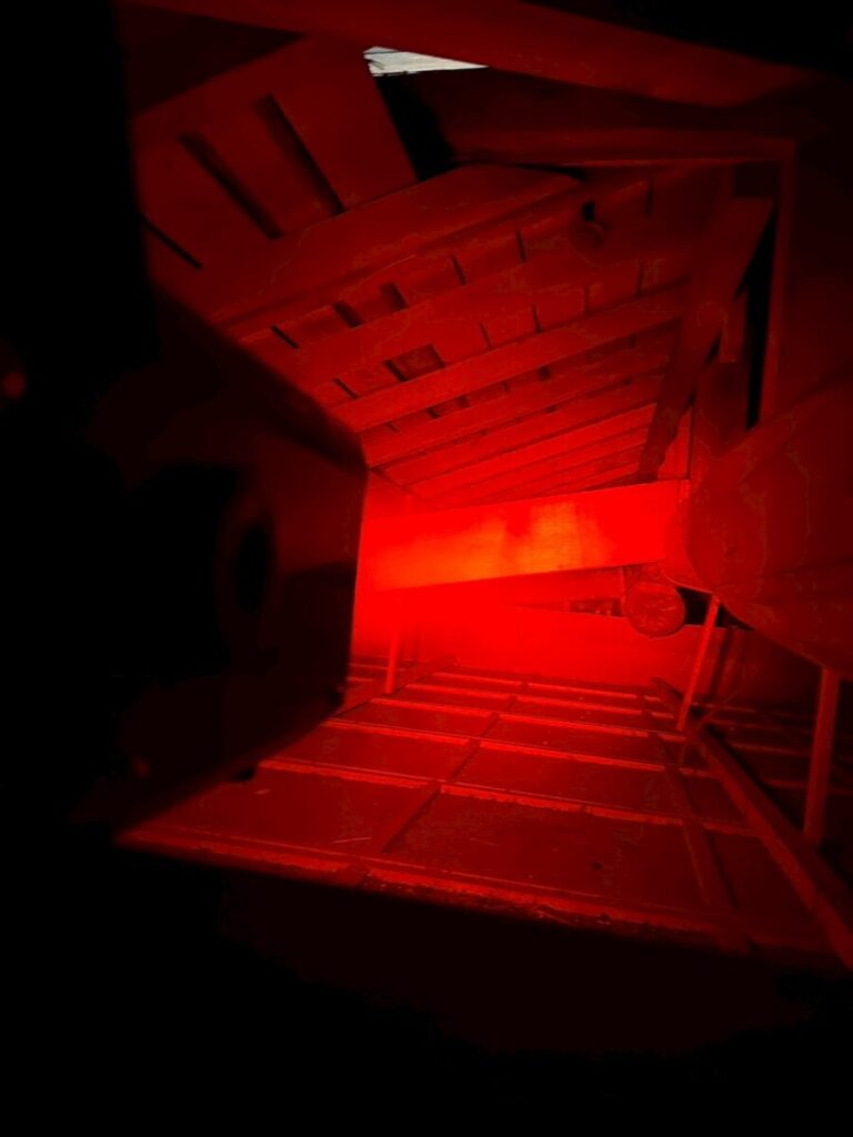 岐阜市ネズミ、イタチ追い出し作業