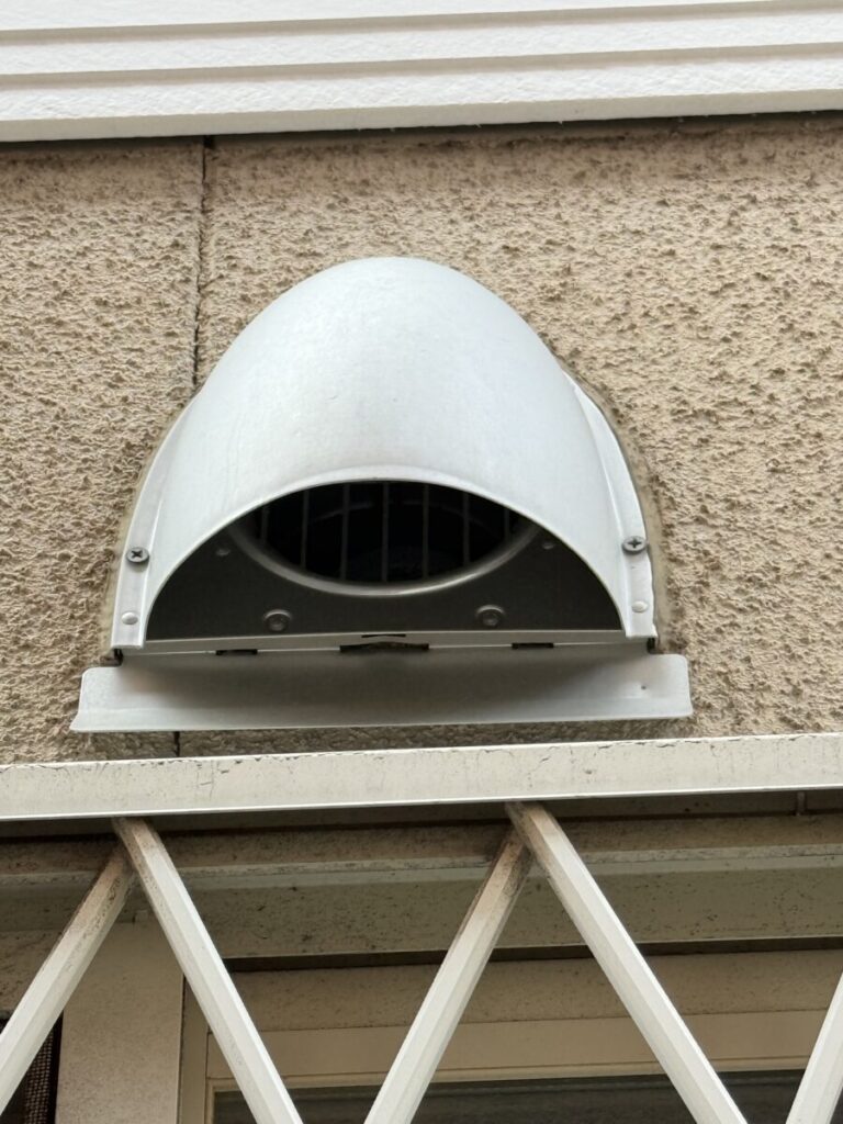 羽島市コウモリ侵入口