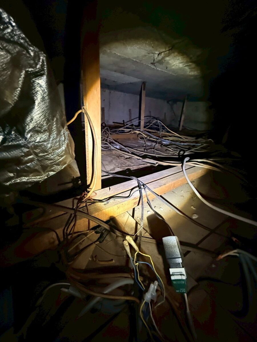 岐阜市ビルネズミ被害