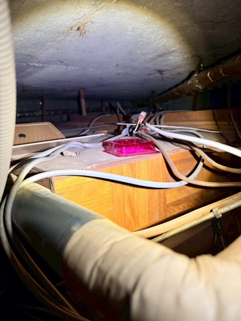 岐阜ネズミ毒餌 粘着シート設置