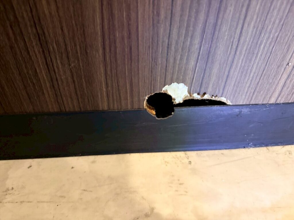 岐阜市ネズミ侵入口