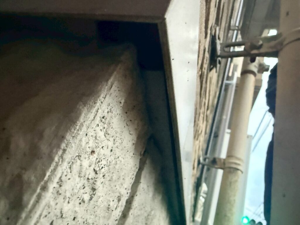 岐阜 コウモリ侵入口