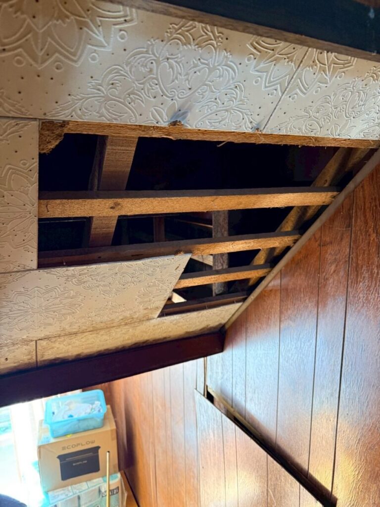 安八郡ネズミ被害