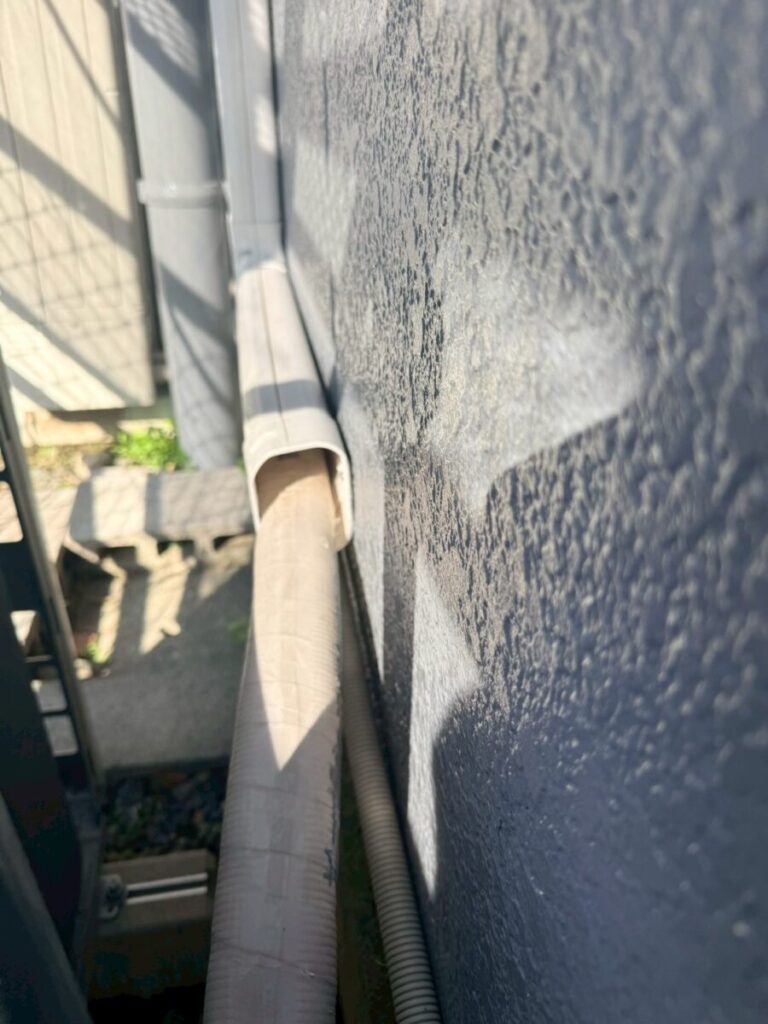 岐阜市コウモリ被害侵入口