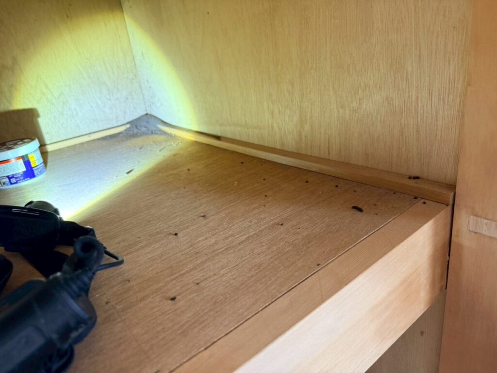 岐阜市コウモリ糞被害