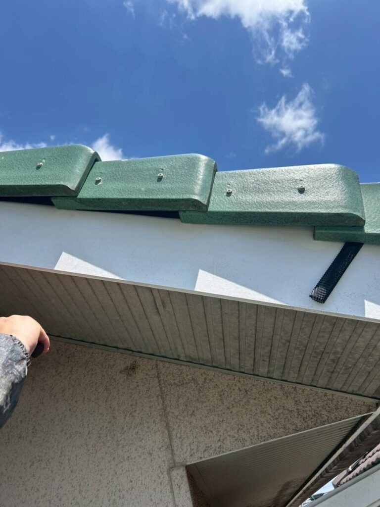 コウモリ侵入口