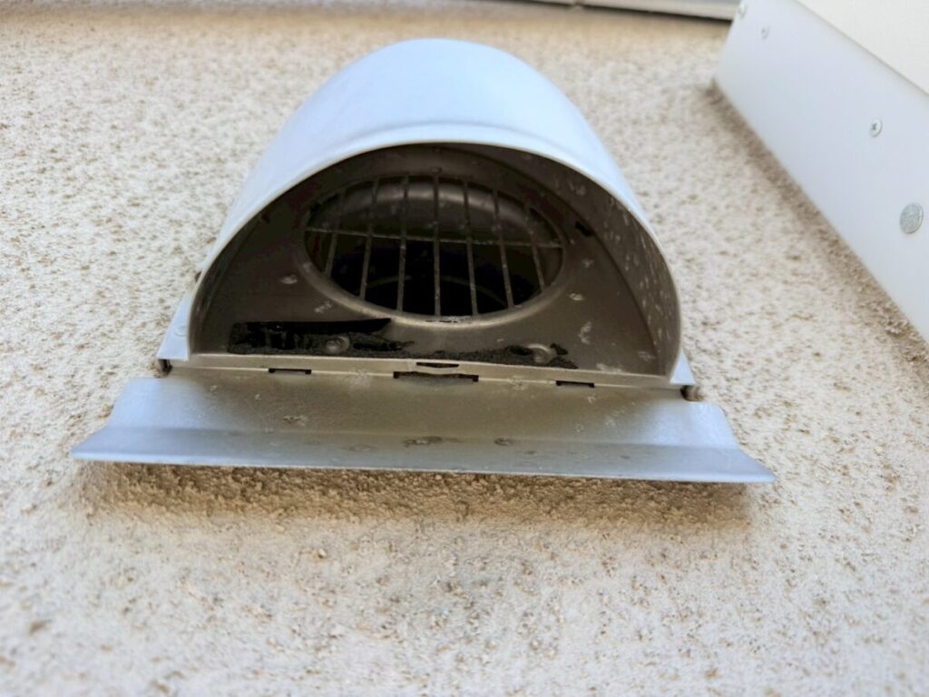 岐阜 コウモリ侵入口