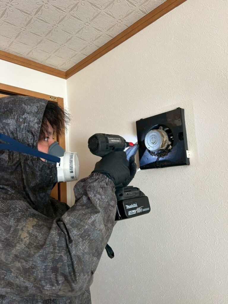 コウモリ被害 換気扇 糞