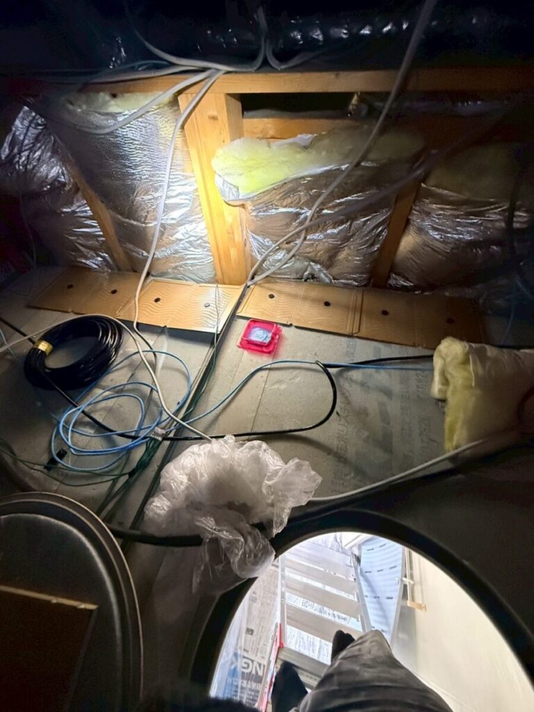 岐阜 ネズミ 粘着シート 毒餌