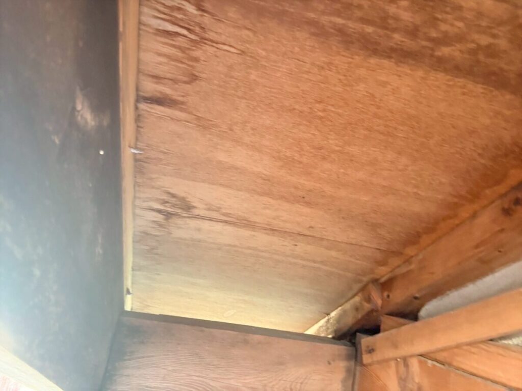 岐阜 害獣侵入口