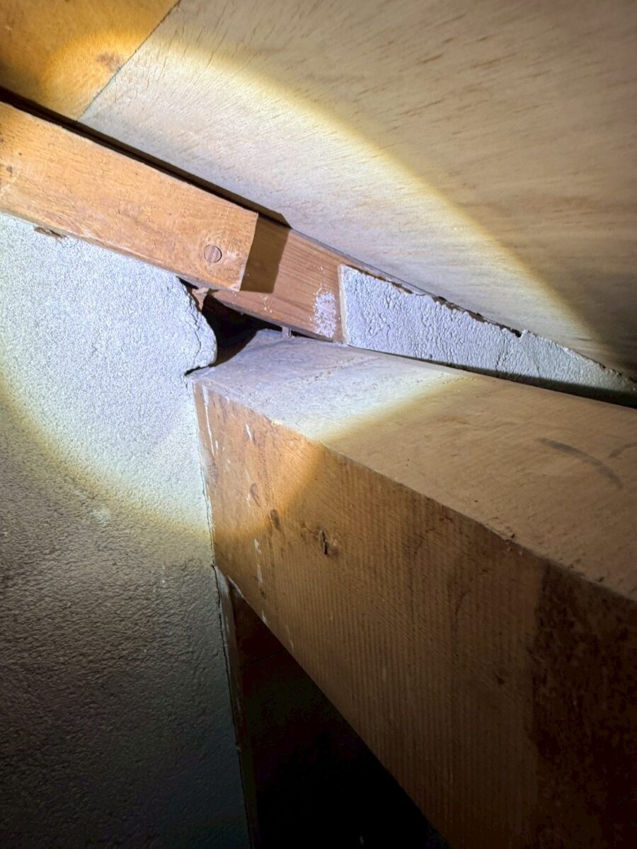 岐阜 害獣侵入口