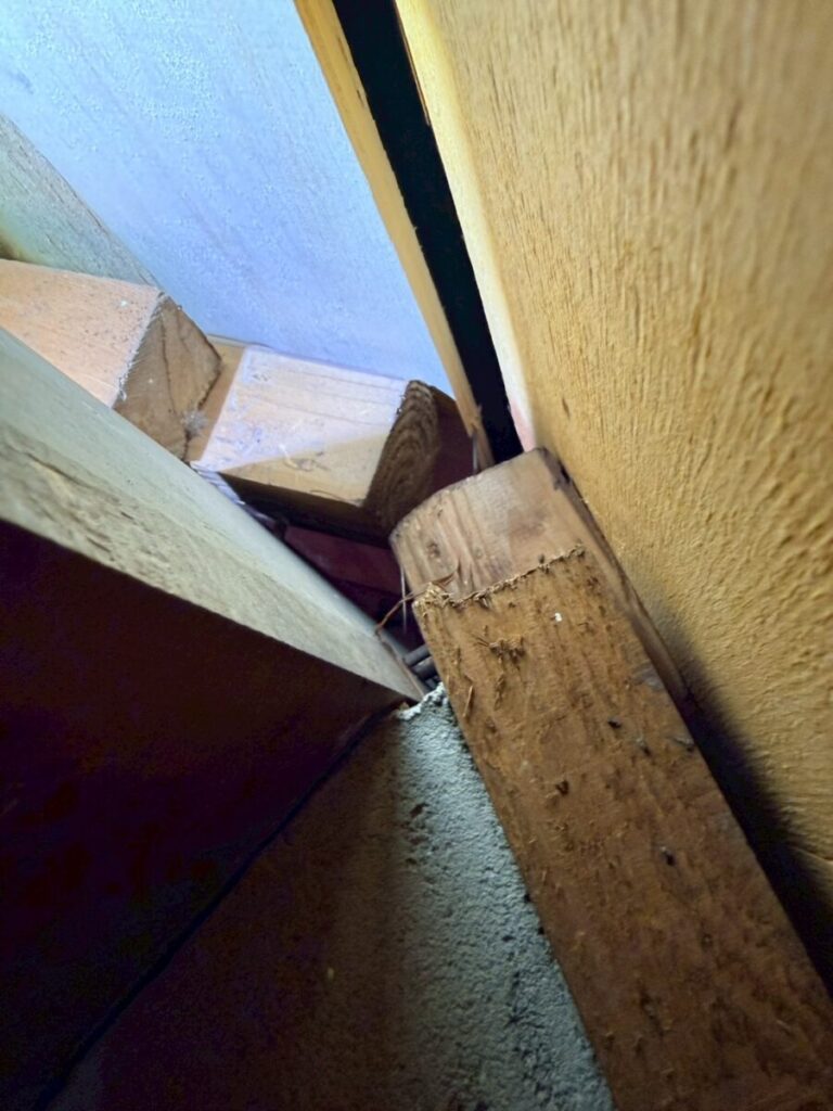 岐阜 害獣侵入口