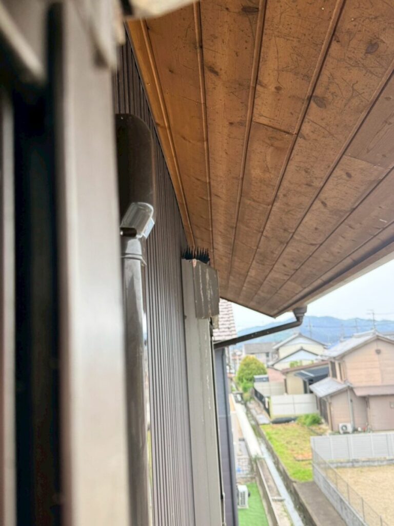 岐阜　鳩よけ
